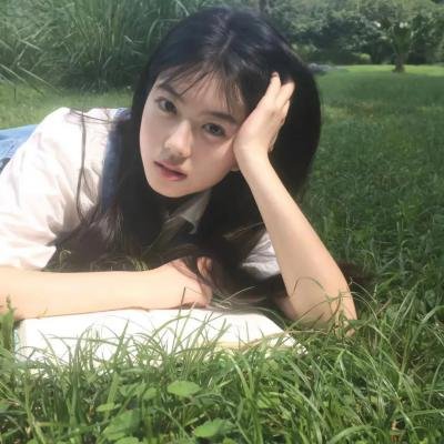 春燕展翅